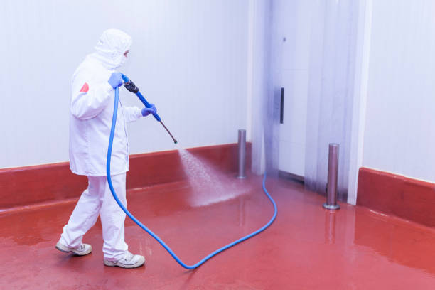 Best Graffiti Removal  in Gardner, IL